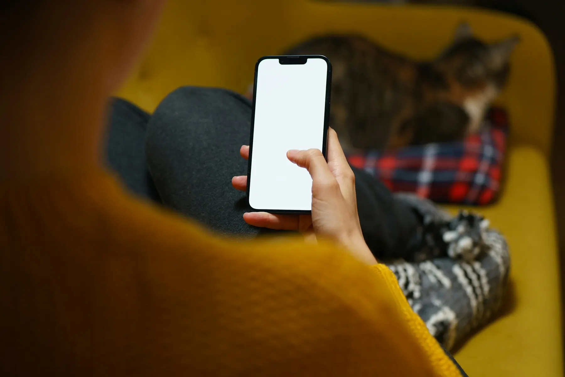 Someone on a couch, phone in hand